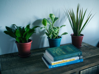 "care" in loc de "pe care"