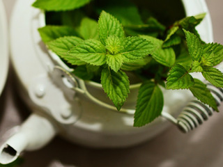 Menta ajuta in caz de balonare