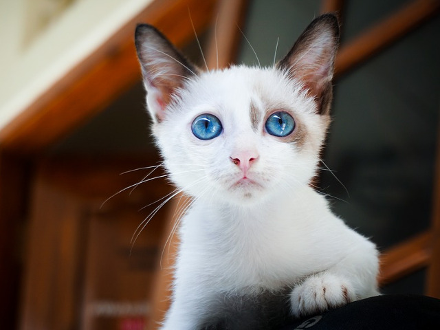 Cum sa nu te topesti?