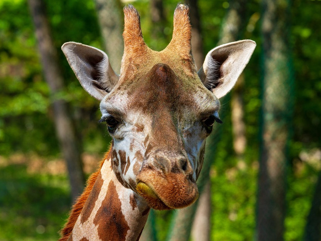 ...sau cand sunt suparate