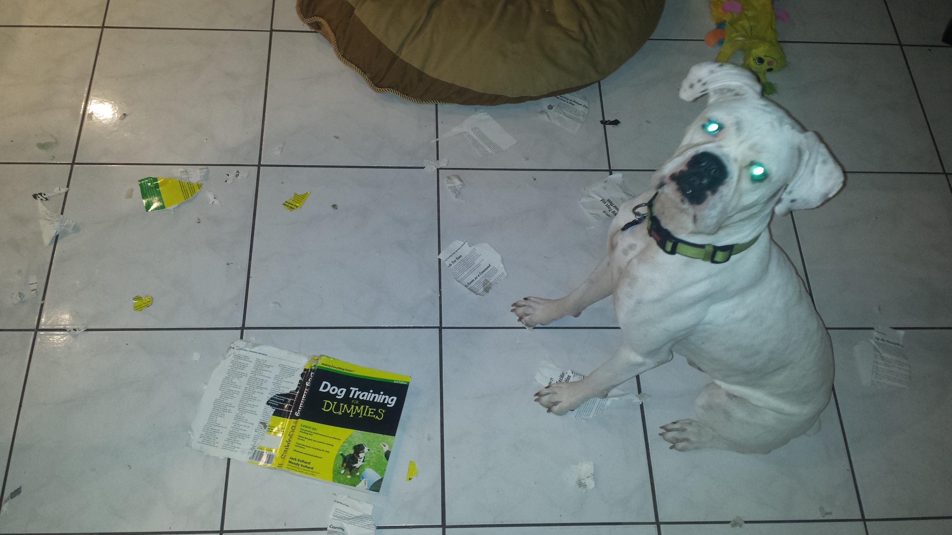 Chiar l-a suparat revista