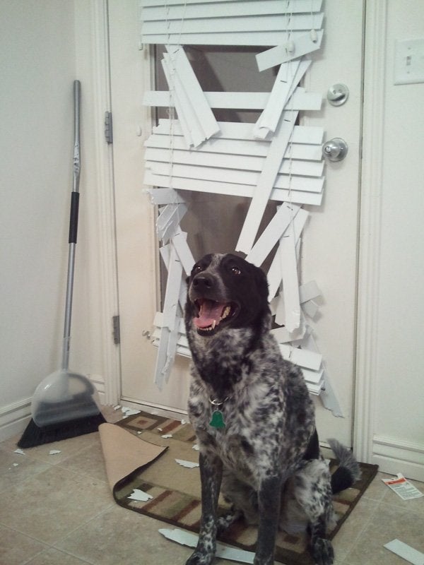 "Sunt expert in design interior"