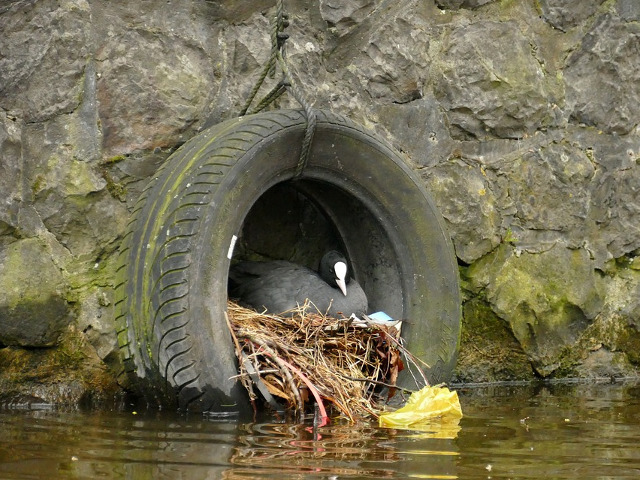 Pungi de plastic, sticle si mizerie in ape