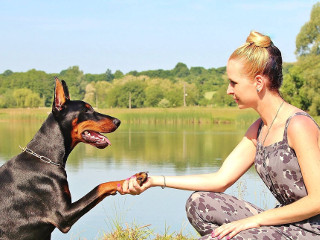 Incearca sa il dresezi inainte