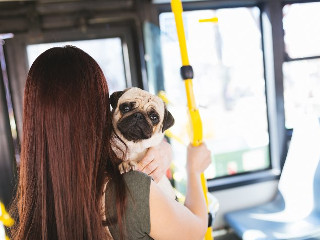 Daca te afli intr-un mijloc de transport in comun, incearca sa stai intr-o zona mai putin aglomerata