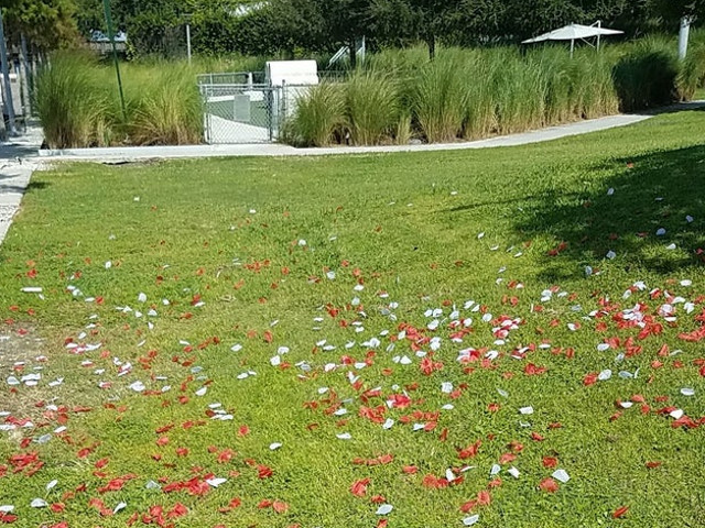 Ce ramane in urma dupa o petrecere