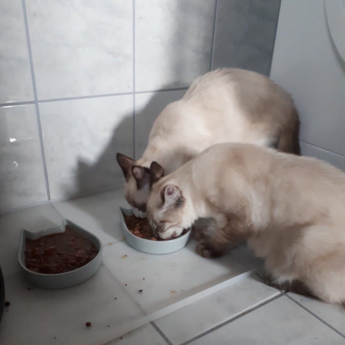 Mancarea este intotdeauna mai buna din bolul celuilalt