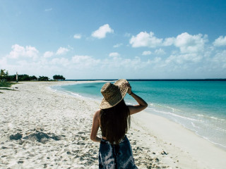 Intareste sistemul imunitar