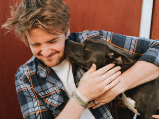 Daca un caine este incantat atunci cand vine stapanul acasa, inseamna ca il iubeste foarte mult