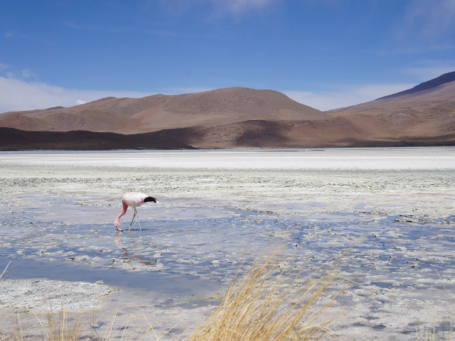 Salar de Uyuni, Bolivia