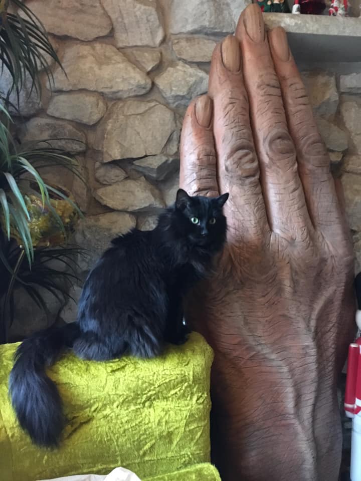 O mana uriasa si-a gasit locul in sufrageria unei femei