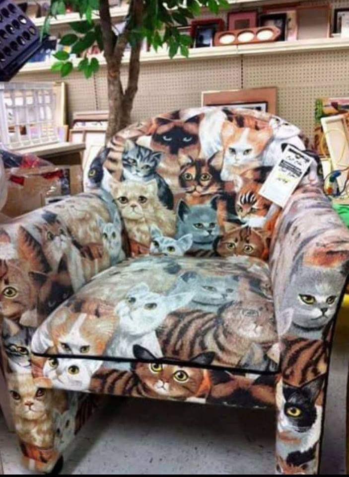 Un fotoliu de pisici...multe pisici