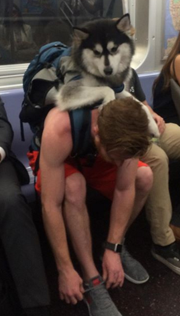 O relatie care inspira