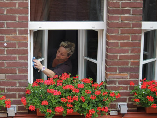 Fara treburi in gospodarie