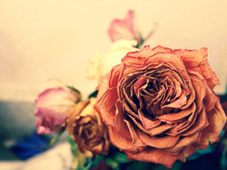 Cinsteste sarbatoarea