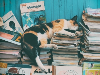 Sta asezata pe lucruri personale