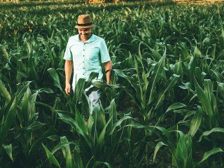 Traditie: Barbatii isi schimba palaria