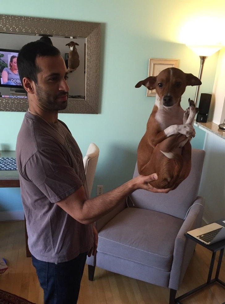 Echilibrul sau este fantastic!