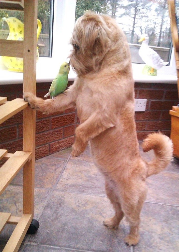 Atat de diferiti, dar totusi se iubesc