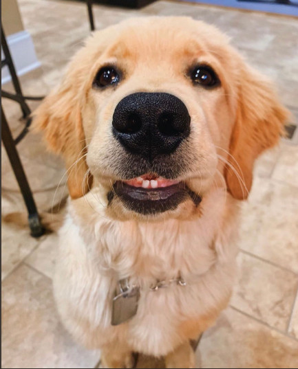 "Ea este Kinder si nu se poate opri din a-si arata noii dintisori"