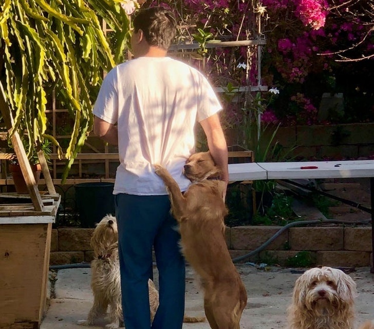 O imbratisare plina de iubire