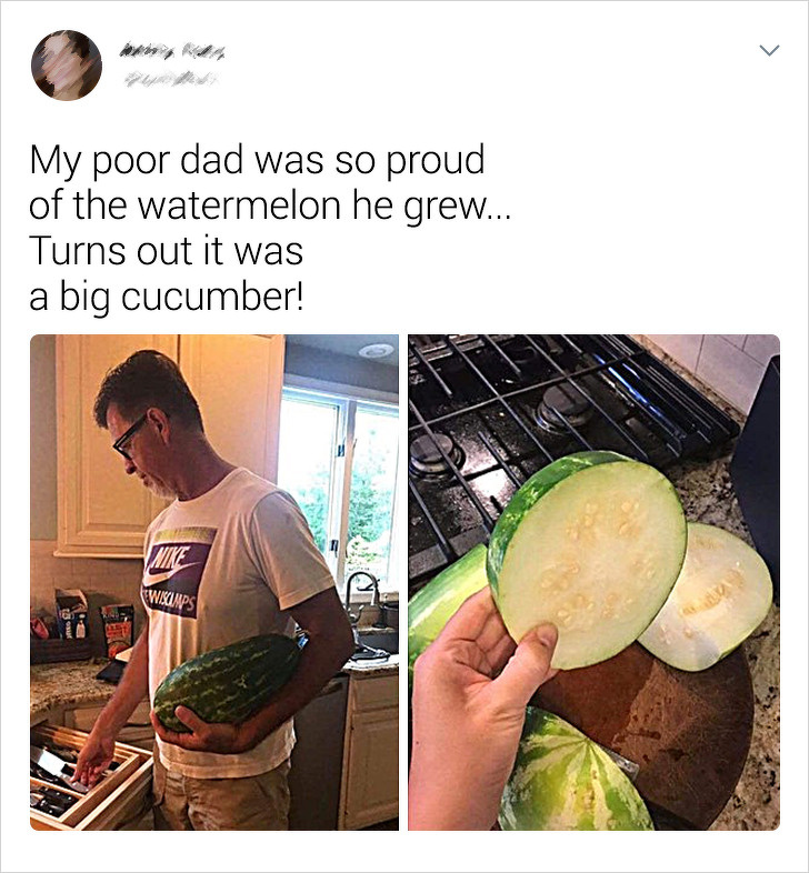 Un barbat mandru de pepenele din gradina proprie si-a dat seama ca era, de fapt, un castravete