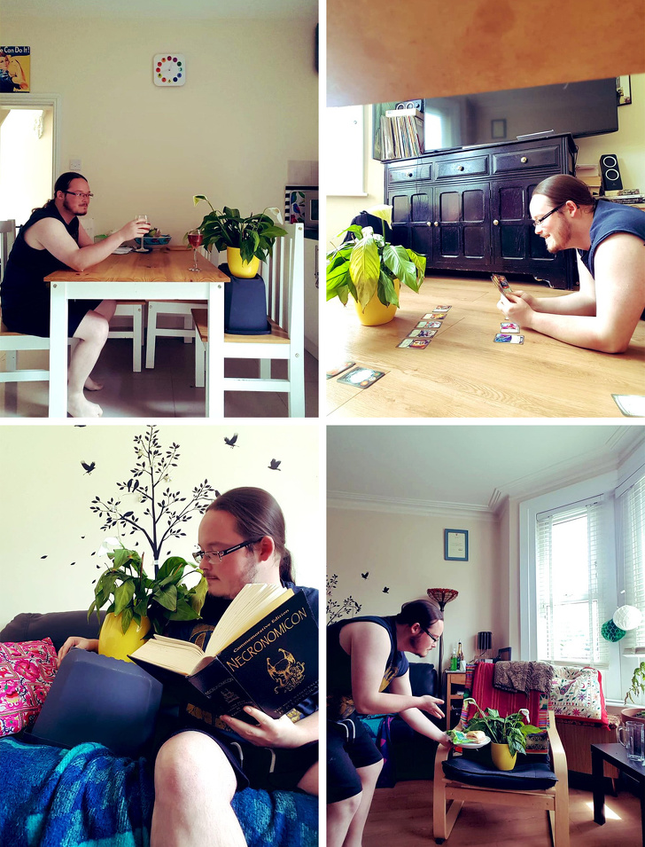 Un tanar a fost rugat sa aiba grija de planta colegului de apartament cat este el plecat si... a facut intocmai