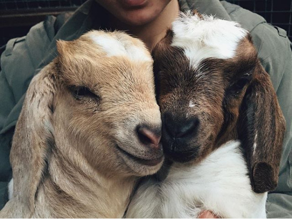 Mai fotogenice decat multi