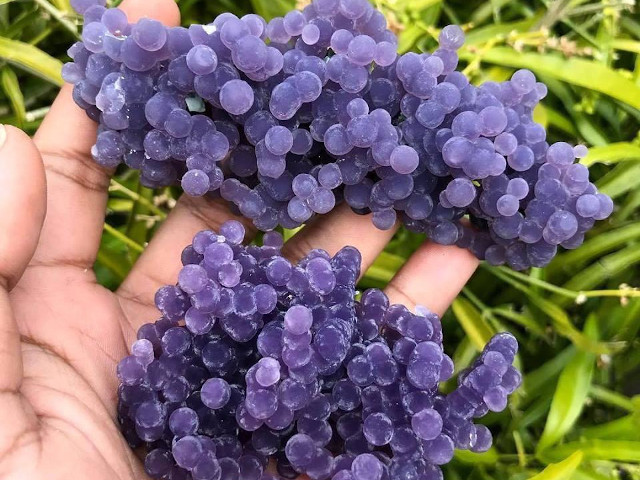 Agat mov, care seamana cu niste struguri