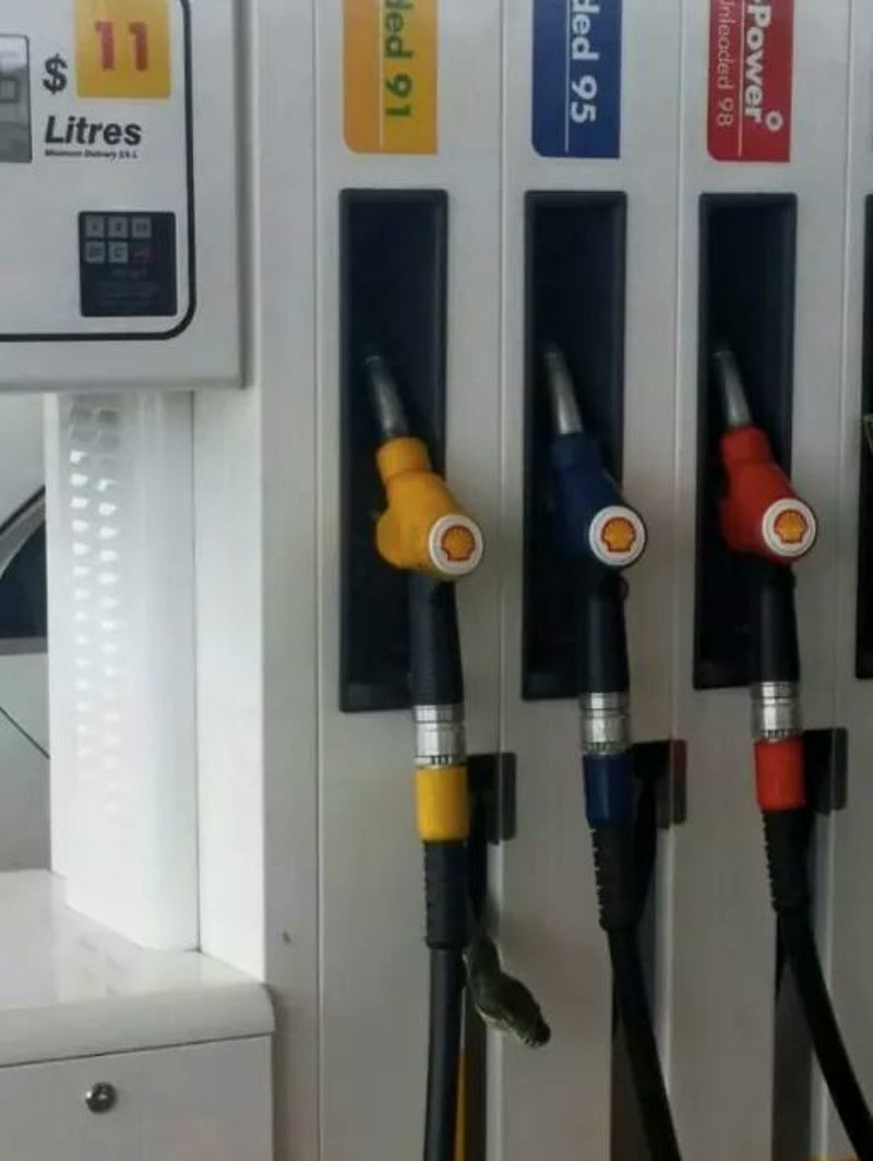 In Australia se pare ca trebuie sa fii atent la tot pasul