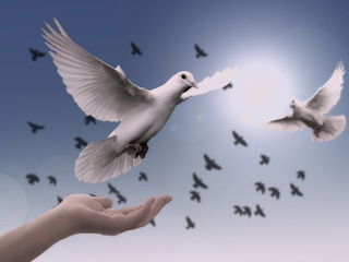 Frumusetea si divinitatea