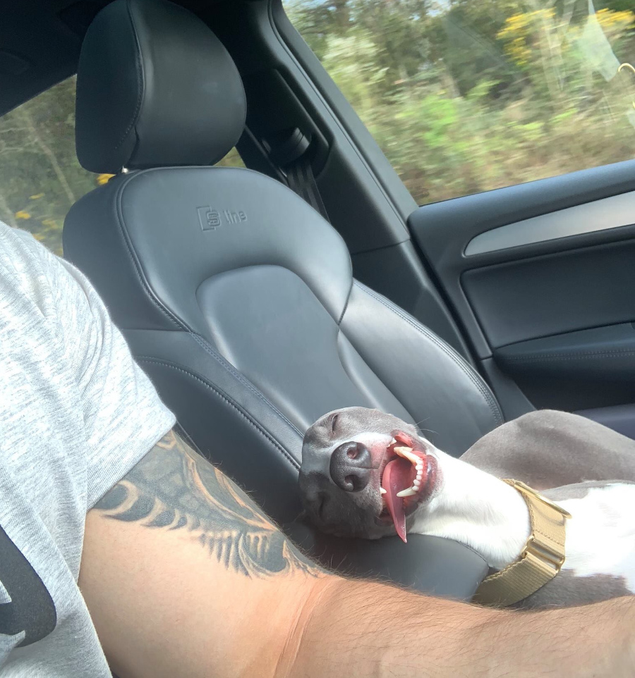 Si in masina se pot odihni fara probleme