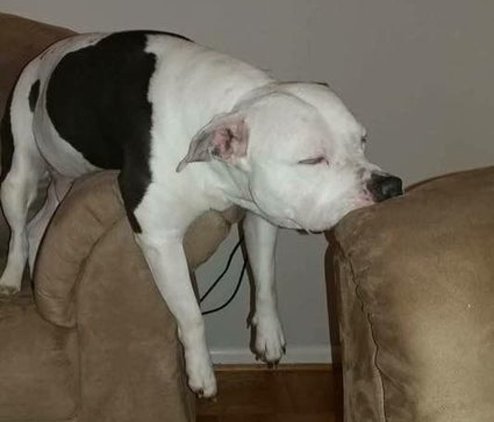 Cand oboseala isi spune cuvantul