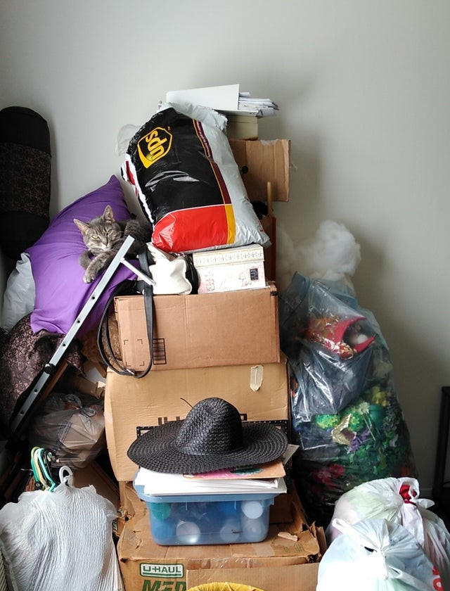 Pare ca s-a mutat recent, dar fata sta asa de 2 luni