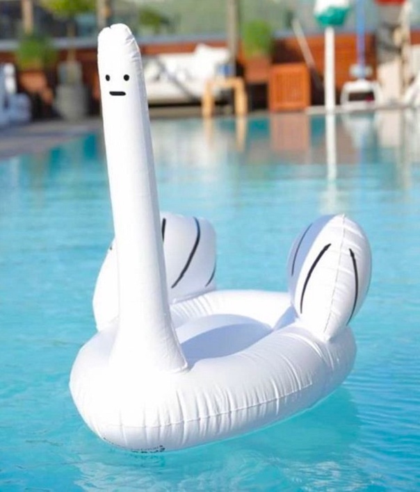 Aceasta lebada probabil a vazut multe la viata ei