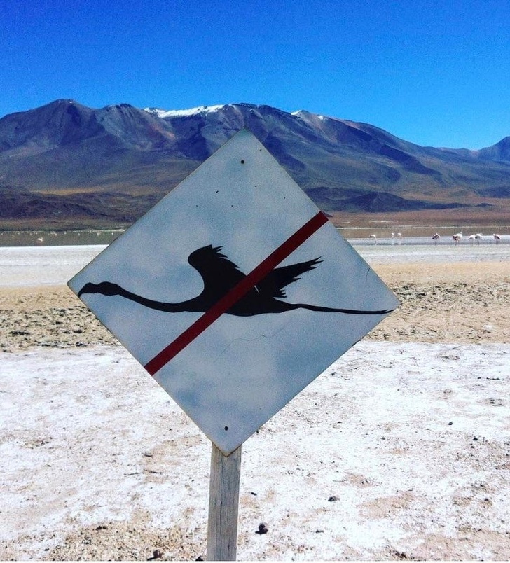 Care este rolul acestui semn?