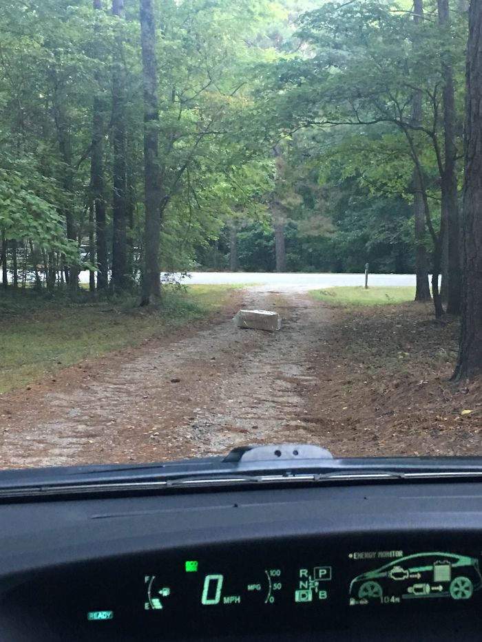 Colet lasat in mijlocul drumului