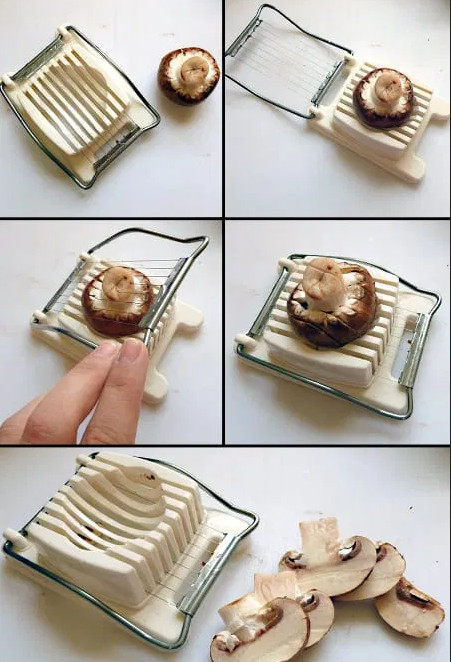 Feliatorul de oua fierte, bun si pentru ciuperci