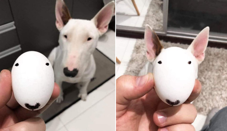 Cand stapanul este un artist: