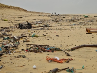 Recunoaste raul facut de gunoaie