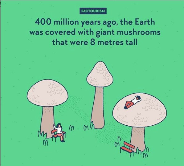 Acum 400 milioane de ani, Pamantul era acoperit de ciuperci, care aveau o inaltime de 8 metri