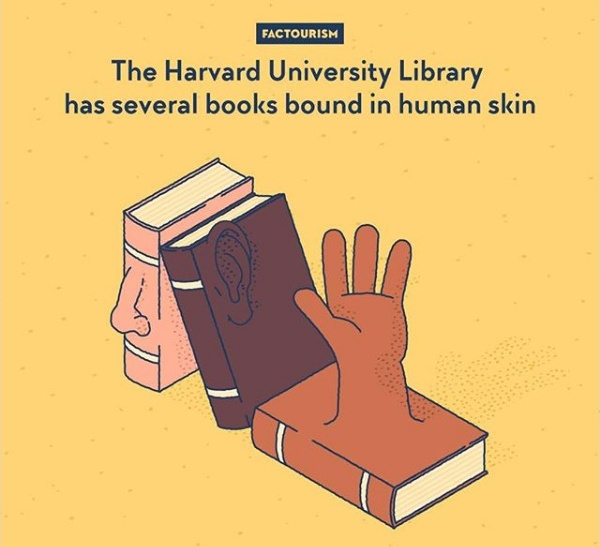 Mai multe carti din biblioteca Universitatii Harvard sunt imbracate in coperti facute din piele de om