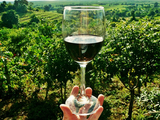 Milestii Mici, Republica Moldova