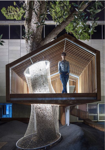 O casa in copac care nu afecteaza cu nimic copacul