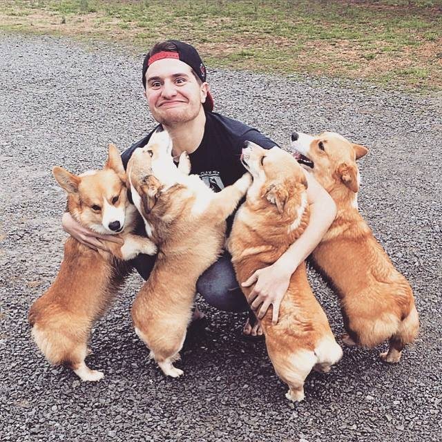 Asa arata fericirea pura: