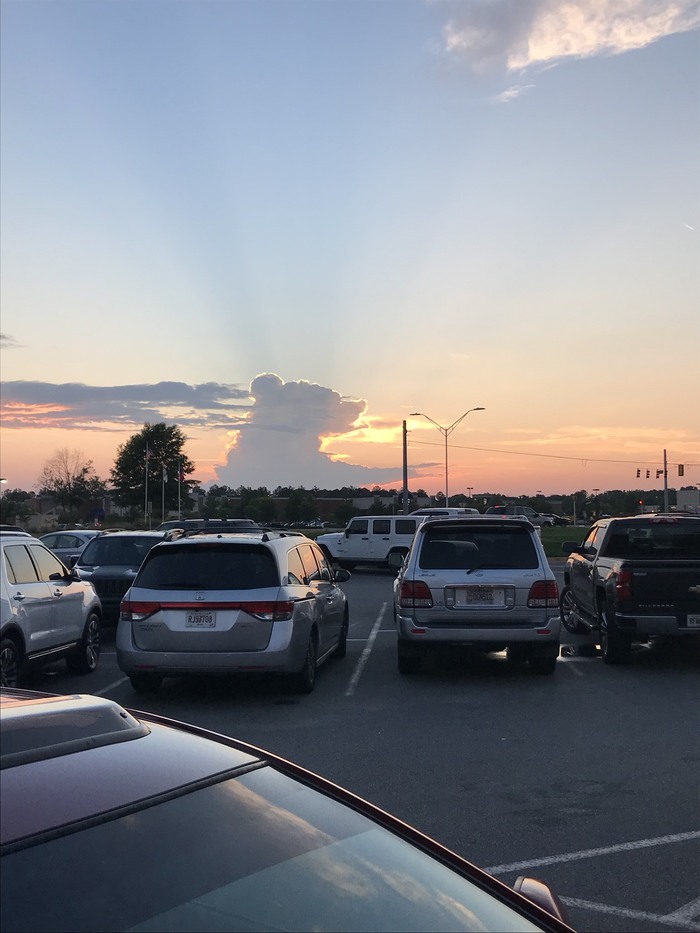 S-a trezit si ursul odata cu soarele