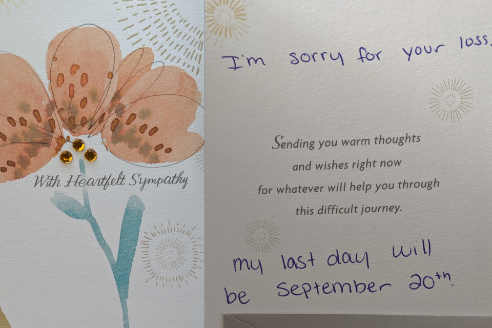 Demisia facuta cu o felicitare care incepe cu "imi pare rau pentru pierderea suferita"