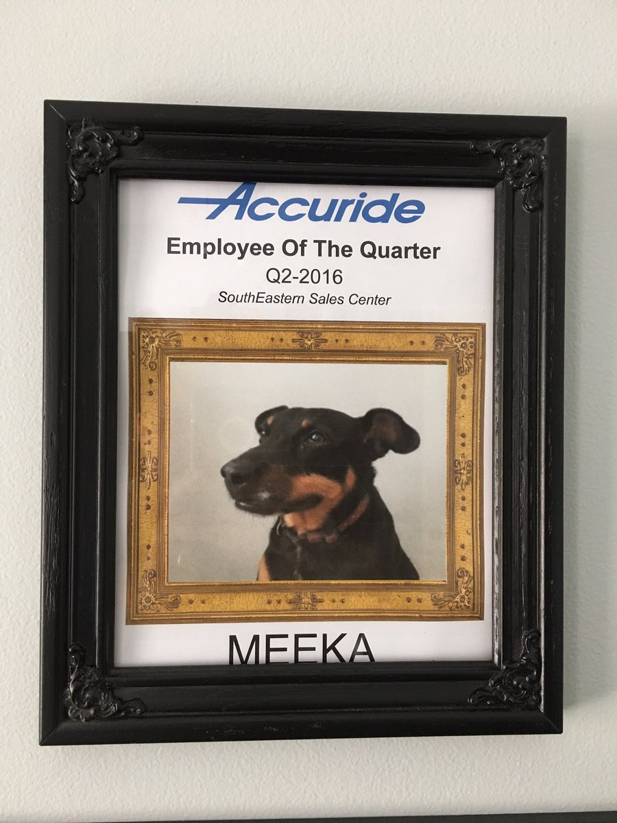 Daca un caine "lucreaza" cu stapanul lui, atunci te asiguri ca primeste distinctii