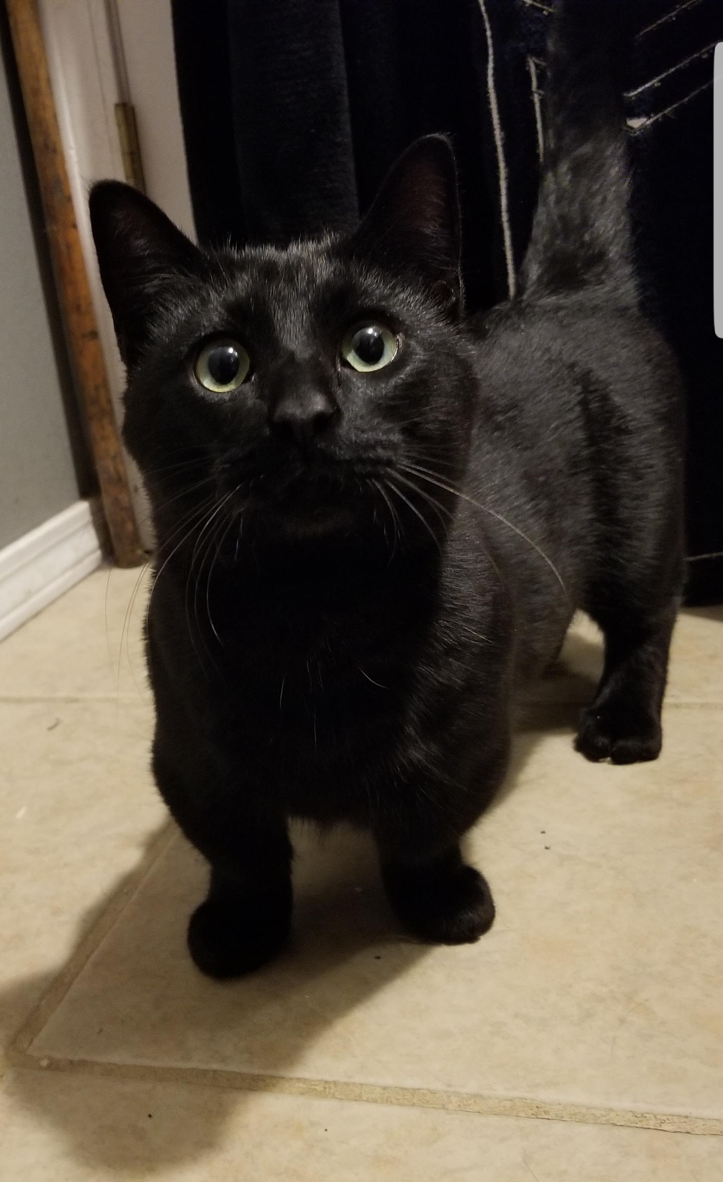 Este impsoibil sa nu iti placa de ea