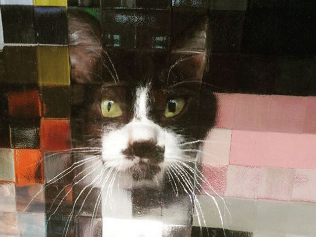 Seriozitatea intruchipata